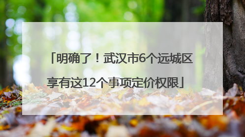 明确了！武汉市6个远城区享有这12个事项定价权限