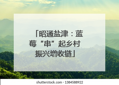 昭通盐津：蓝莓“串”起乡村振兴增收链
