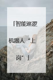 智能巡逻机器人“上岗”