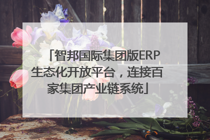 智邦国际集团版ERP生态化开放平台，连接百家集团产业链系统
