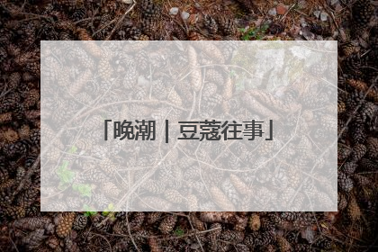 晚潮｜豆蔻往事