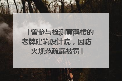 曾参与检测黄鹤楼的老牌建筑设计院，因防火规范疏漏被罚