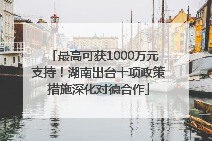 最高可获1000万元支持！湖南出台十项政策措施深化对德合作