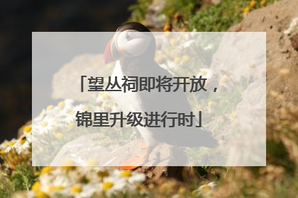 望丛祠即将开放，锦里升级进行时