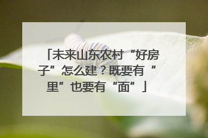 未来山东农村“好房子”怎么建？既要有“里”也要有“面”