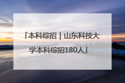 本科综招｜山东科技大学本科综招180人