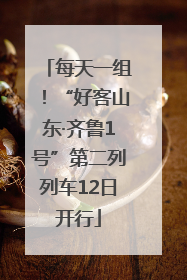 每天一组！“好客山东·齐鲁1号”第二列列车12日开行