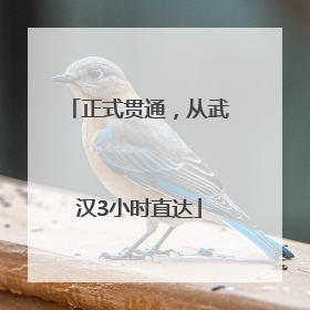 正式贯通，从武汉3小时直达