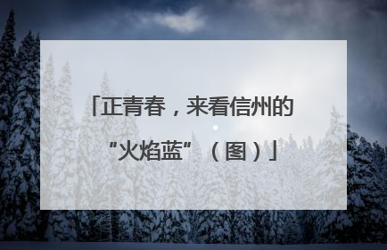 正青春，来看信州的“火焰蓝”（图）