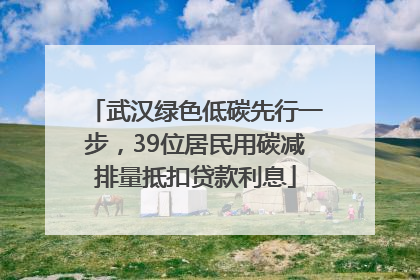 武汉绿色低碳先行一步，39位居民用碳减排量抵扣贷款利息