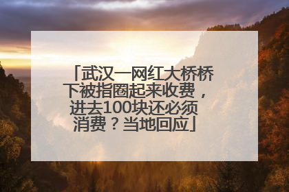 武汉一网红大桥桥下被指圈起来收费，进去100块还必须消费？当地回应
