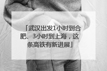 武汉出发1小时到合肥、3小时到上海，这条高铁有新进展