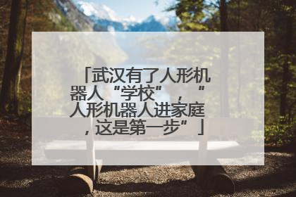 武汉有了人形机器人“学校”，“人形机器人进家庭，这是第一步”