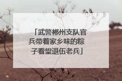 武警郴州支队官兵带着家乡味的粽子看望退伍老兵