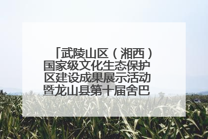 武陵山区（湘西）国家级文化生态保护区建设成果展示活动暨龙山县第十届舍巴日即将启幕