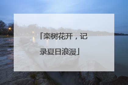 栾树花开，记录夏日浪漫