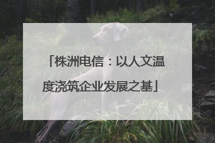 株洲电信：以人文温度浇筑企业发展之基