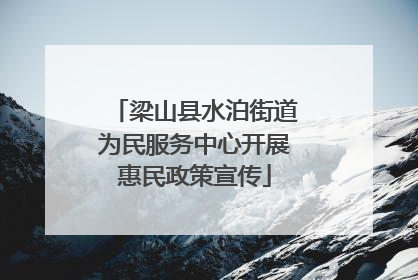 梁山县水泊街道为民服务中心开展惠民政策宣传