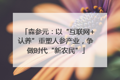 森参元：以“互联网+认养”重塑人参产业，争做时代“新农民”