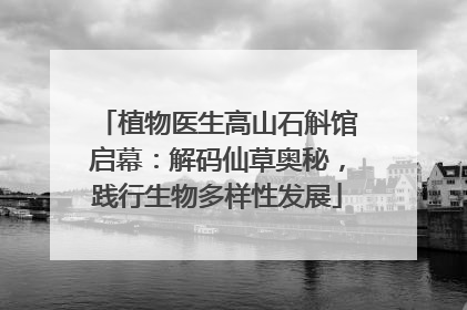 植物医生高山石斛馆启幕：解码仙草奥秘，践行生物多样性发展