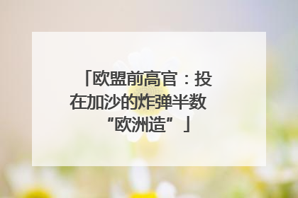 欧盟前高官：投在加沙的炸弹半数“欧洲造”