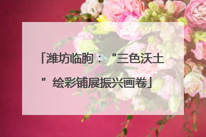 潍坊临朐：“三色沃土”绘彩铺展振兴画卷
