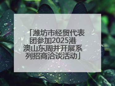 潍坊市经贸代表团参加2025港澳山东周并开展系列招商洽谈活动