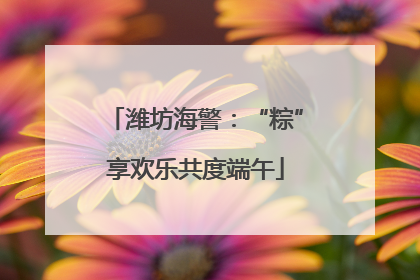 潍坊海警：“粽”享欢乐共度端午