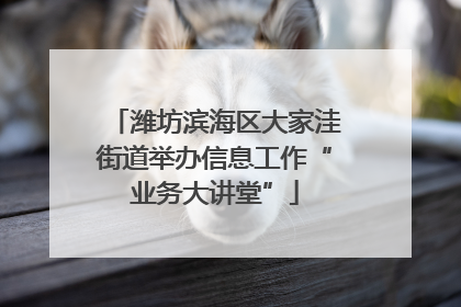 潍坊滨海区大家洼街道举办信息工作“业务大讲堂”