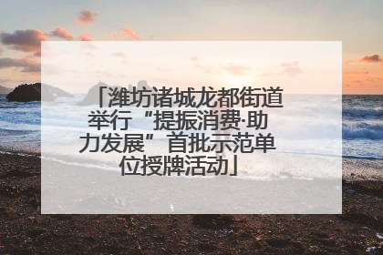 潍坊诸城龙都街道举行“提振消费·助力发展”首批示范单位授牌活动