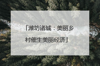 潍坊诸城：美丽乡村催生美丽经济
