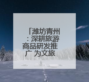 潍坊青州：深耕旅游商品研发推广 为文旅产业高质量发展注入强劲动力