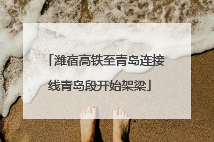 潍宿高铁至青岛连接线青岛段开始架梁