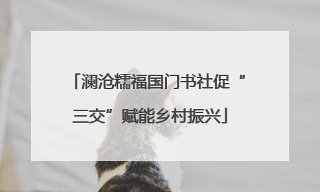 澜沧糯福国门书社促“三交”赋能乡村振兴