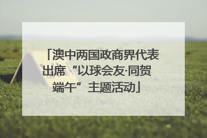 澳中两国政商界代表出席“以球会友·同贺端午”主题活动