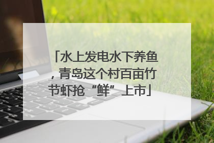水上发电水下养鱼，青岛这个村百亩竹节虾抢“鲜”上市