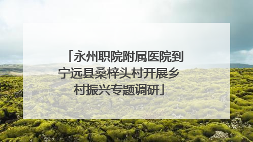 永州职院附属医院到宁远县桑梓头村开展乡村振兴专题调研