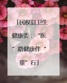 民权县卫生健康委：“医”路健康伴“童”行