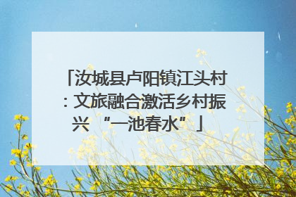 汝城县卢阳镇江头村：文旅融合激活乡村振兴 “一池春水”