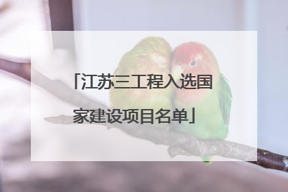 江苏三工程入选国家建设项目名单