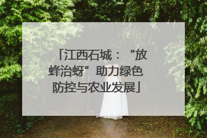 江西石城：“放蜂治蚜”助力绿色防控与农业发展