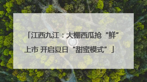 江西九江：大棚西瓜抢“鲜”上市 开启夏日“甜蜜模式”