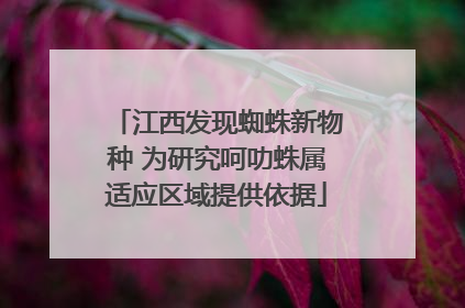 江西发现蜘蛛新物种 为研究呵叻蛛属适应区域提供依据