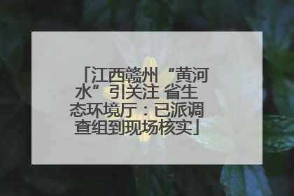 江西赣州“黄河水”引关注 省生态环境厅：已派调查组到现场核实