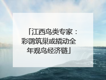 江西鸟类专家：彩鹮筑巢或撬动全年观鸟经济链
