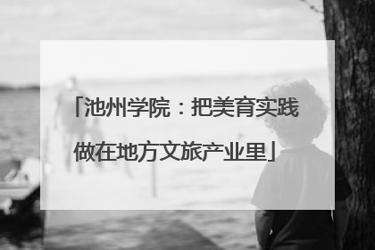池州学院：把美育实践做在地方文旅产业里