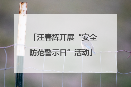 汪春辉开展“安全防范警示日”活动