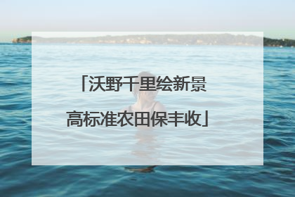 沃野千里绘新景 高标准农田保丰收