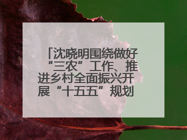 沈晓明围绕做好“三农”工作、推进乡村全面振兴开展“十五五”规划专题调研