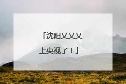 沈阳又又又上央视了！